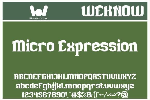 Micro Expression: The Perfect Display Font for Modern Branding